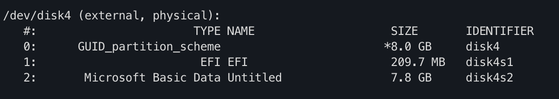 Output of diskutil list, cropped to show USB drive
