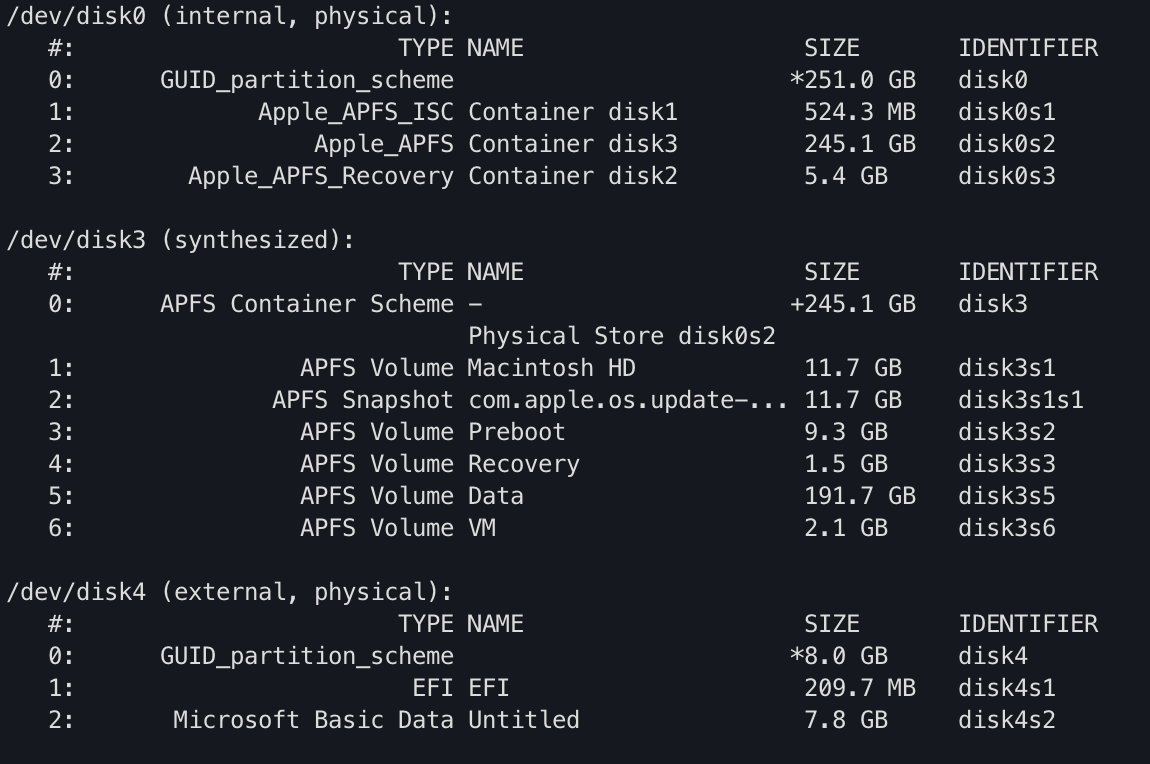 Output of diskutil list